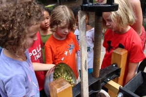 children learning about grape gardens