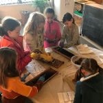 Elementary bee keeping environmental education Montessori